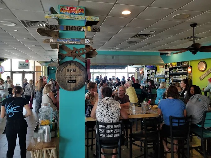Bar fly Safety Harbor