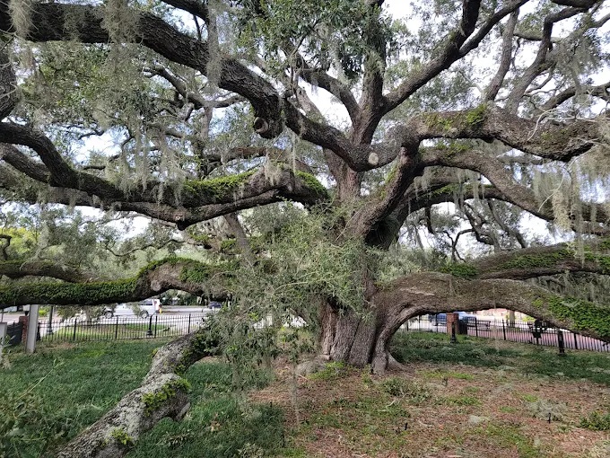 Baranoff Park