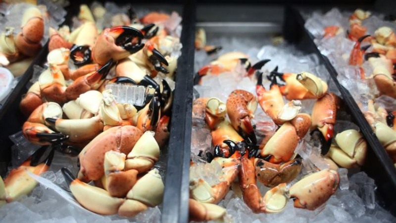 Frenchy's Stone Crab Festival