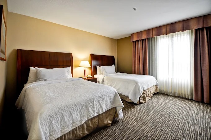Hilton Garden Inn Tampa Northwest/Oldsmar