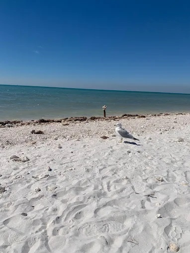 Honeymoon Island State Park