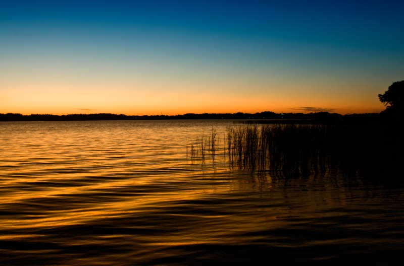 Palm Harbor